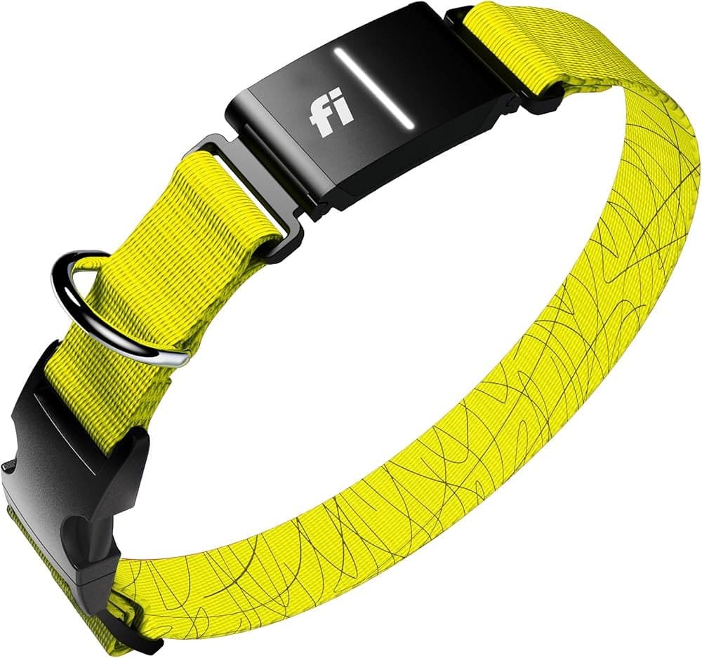 FI Series 3+