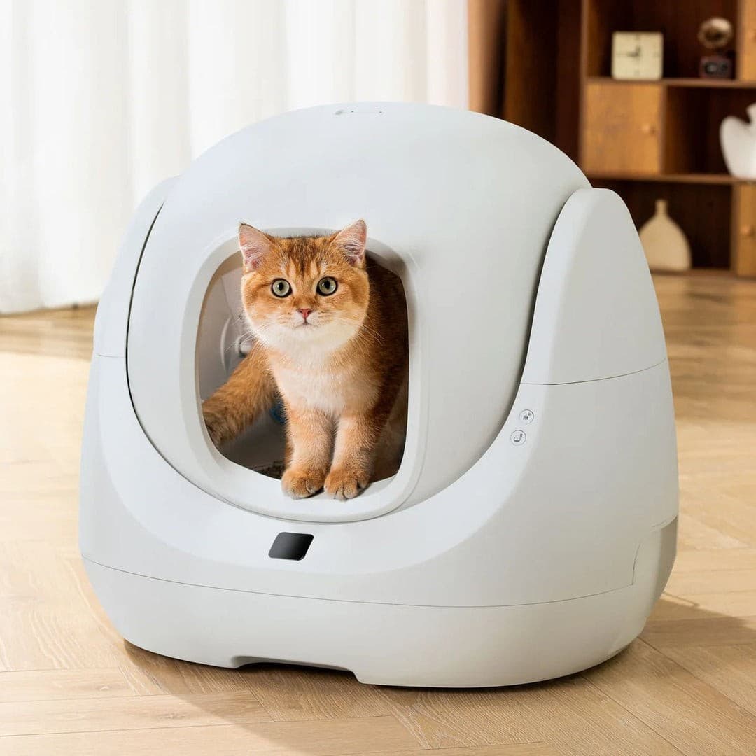 CATLINK Baymax